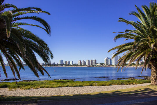 Playa Mansa, Punta del Este