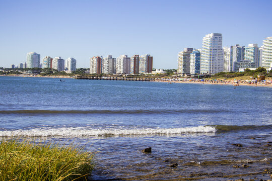 Playa Mansa, Punta del Este
