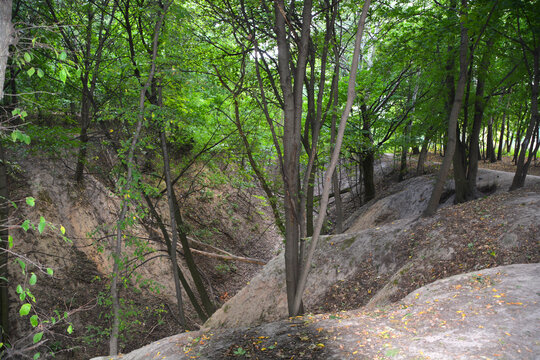 KIEV UKRAINE: Babi Yar is a ravine and a site of massacres carried out by German forces and by local Ukrainian collaborators during their campaign against the Soviet Union in World War II.