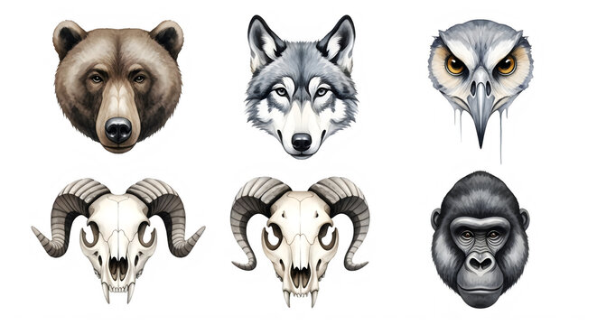 Six stylized animal skull icons in black and white isolated on transparent background