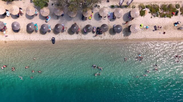Aerial view of Toroni beach in Sithonia, Halkidiki, Greece, with swimmers in crystal clear turquoise Aegean Sea water beside a busy sandy beach lined with sunbeds and parasols.
