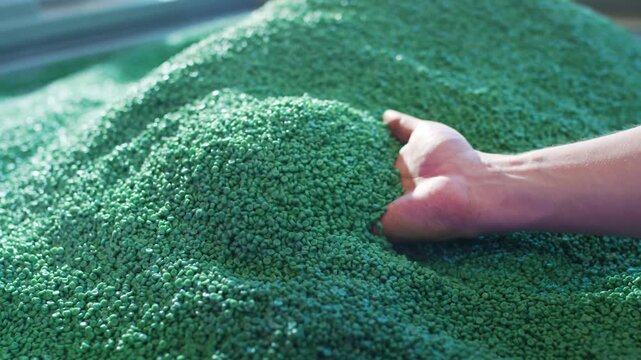 Hand Scooping Green Plastic Granules in Recycling Facility
