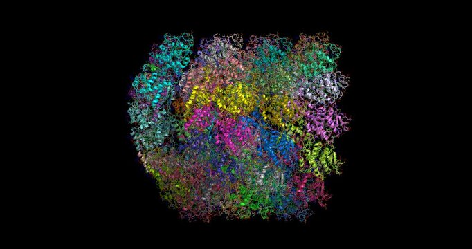 Measles virus helical nucleocapsid protein, semi-side view 3D molecule 4K spinning 