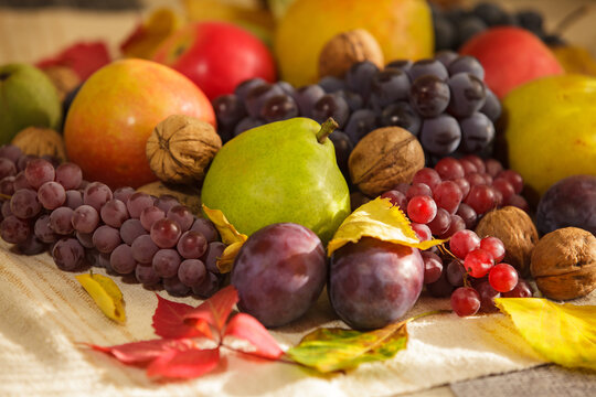 Fresh autumn harvest still life with green pear ripe grapes apples and walnuts