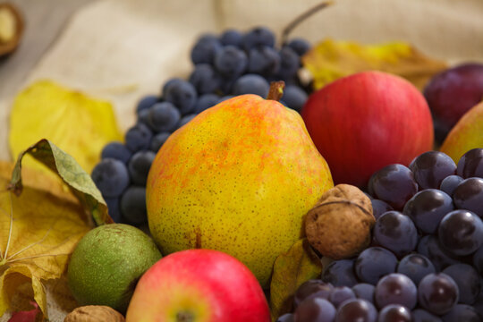 Fresh ripe pear with grapes apples and walnuts in autumn still life