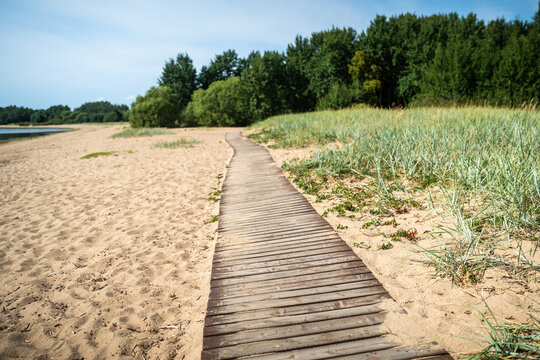 Ecological hiking trail in national park through sand dunes, beach, sedge thickets and plants, wooden path through environment along sea shore. walks in countryside 