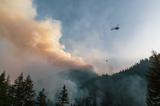 Helicopter Fighting Mountain Wildfire Over Smoke Filled Forest Near Hope, BC Canada