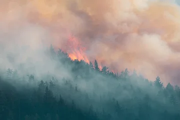 Wildfire Flames And Thick Smoke Engulfing Forest Near Hope, BC, Canada At Dusk © edb3_16