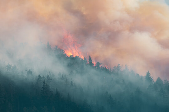 Wildfire Flames And Thick Smoke Engulfing Forest Near Hope, BC, Canada At Dusk
