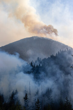 Smoke Plume Over Forested Mountain From Wildfire Near Hope BC Canada at Dusk