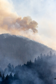 Forest Wildfire Smoke Over Conifered Hills Near Hope BC Canada, Atmospheric Plume at Dusk