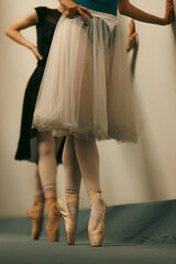 Ballet dancers on pointe practicing at the barre in tulle tutus and satin pointe shoes during an elegant rehearsal © Nikola Spasenoski
