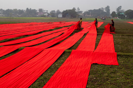 Narsingdi, Dhaka Division, Bangladesh - 22 January 2025: View of workers spreading long strips of vibrant red fabric across a field to dry under a hazy sky.