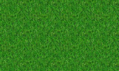 Fototapeta premium Fresh Green Grass Natural Texture Background with Detailed Lawn Surface