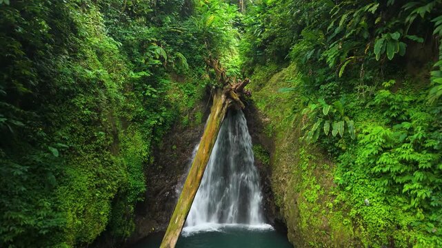 Aerial camera pulls in toward small waterfall flowing over fallen tree trunk into pool surrounded by lush tropical rainforest