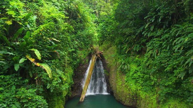 Aerial pull back retreats through jungle gorge revealing Seven Sisters Waterfalls cascading into teal pool in Grenada