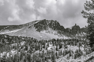 Fototapeta premium High-contrast monochrome photo showing pine covered mountain slopes leading to the jagged crest of Wheeler Peak in Nevada.
