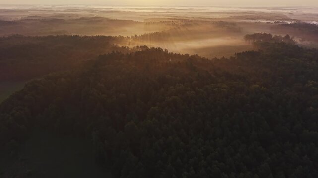 Aerial view of golden sunrise rays breaking through morning fog above dense forest near Wkra river in Mazovia