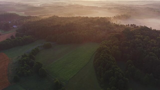 Aerial view of a green meadow bordered by pine forest and distant fog under warm sunrise light near Wkra river Mazovia