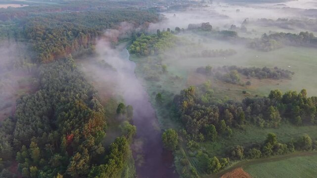 Aerial view of Wkra river winding through green forest with wisps of morning fog rising above the trees in Mazovia