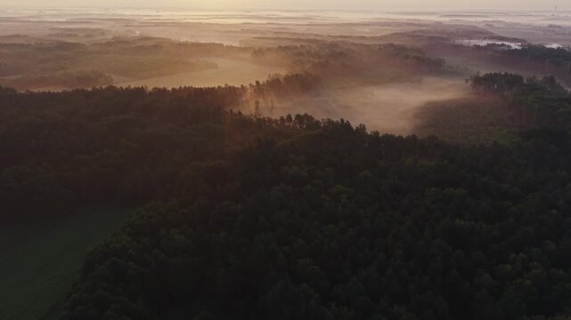 Aerial view of misty farmland and forest patches at sunrise with hazy fog drifting over fields near Wkra river Mazovia