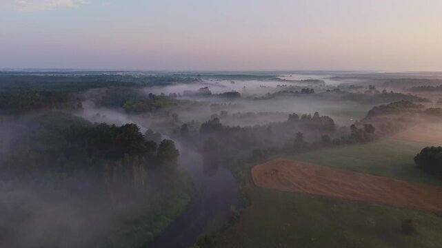 Aerial view of a wide river bend blanketed in low fog with pine forest and pastel dawn sky in Mazovia
