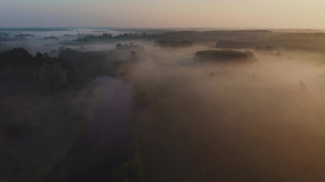 Aerial view of thick morning fog blanketing forest and river landscape with warm sunrise light on the horizon near Wkra river