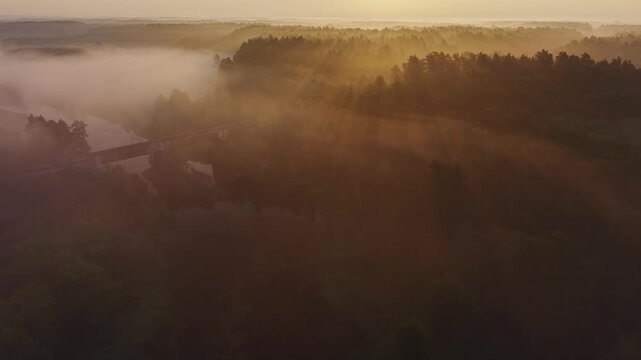 Aerial view of an old bridge silhouette leading into misty forest with golden sunrise rays over Wkra river Mazovia