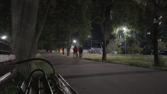 People Walking Dogs on Tree-Lined Path at Night | Urban Park Boulevard with Street Lamps and Residential Buildings | Evening Pet Walk in City Neighborhood