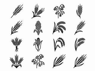 Fototapeta premium Cereal and grain icon set line art vector including wheat rye corn and barley stalks for organic agriculture and farming projects
