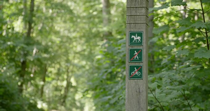 Panneau marche &agrave; pied, v&eacute;lo et chevaux dans la nature foresti&egrave;re
