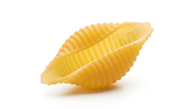 Close-up of a single conchiglie pasta shell against a clean white background, highlighting its ribbed texture.