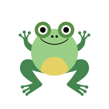 frog on white transparent background