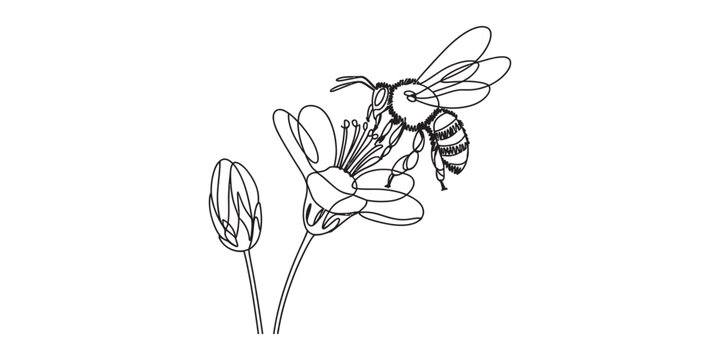 Continuous line drawing of a honey bee landing on a blooming flower bud