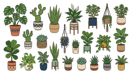 Fototapeta premium Collection of Houseplants in Decorative Pots, Botanical Illustration