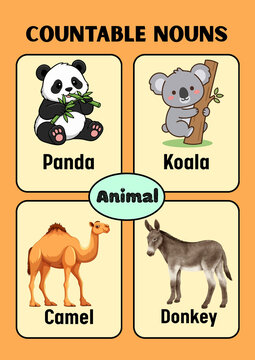 Educational countable nouns poster with cute animals, English grammar learning chart for kids, panda koala camel and donkey illustrations