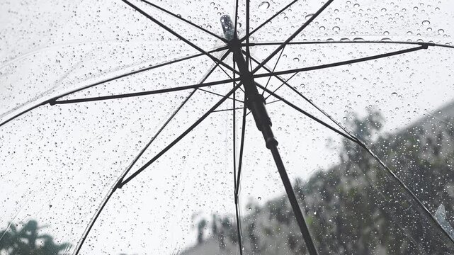 雨と傘のイメージ