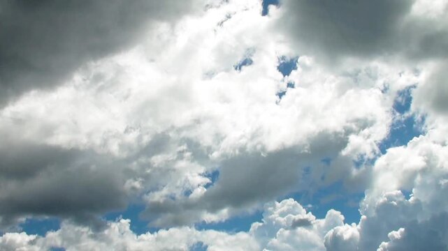 激しい上昇気流で急成長する夏の積乱雲