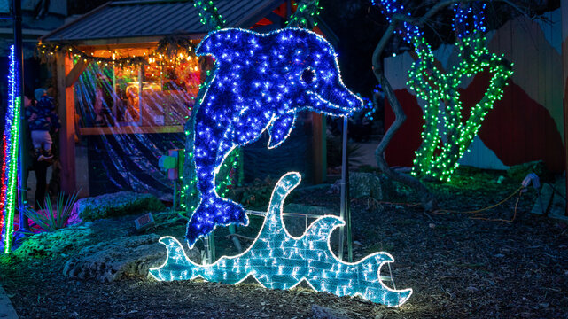 Blue Dolphin Christmas Light Decoration at Brookfield Zoo Illinois