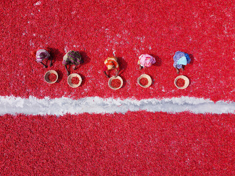 Aerial view of workers sorting and drying vibrant red chillies on the ground in Bogura, Rajshahi Division, Bangladesh.