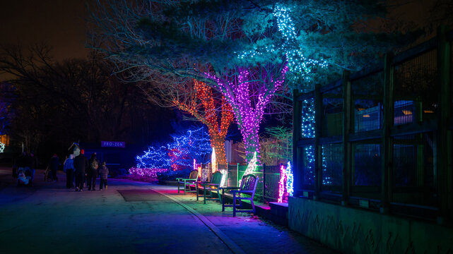 Christmas Lights Along Walking Path at Brookfield Zoo Illinois