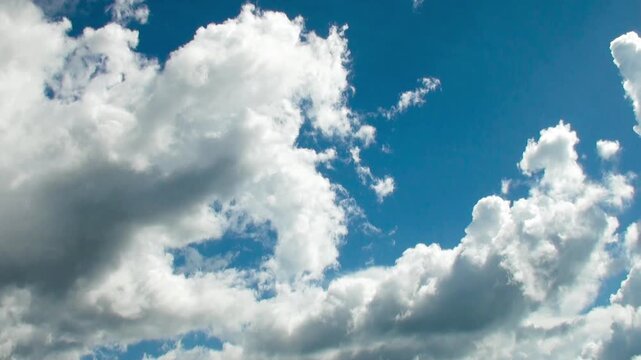 激しい上昇気流で急成長する夏の積乱雲