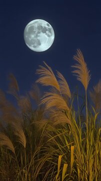 Full Moon over Golden Pampas Grass 4K Generative AI