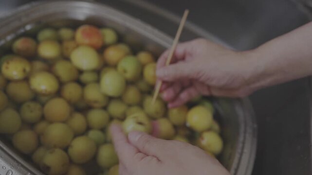 Close-up shot of removing stem of Japanese plum with a bamboo skewer for making umeboshi