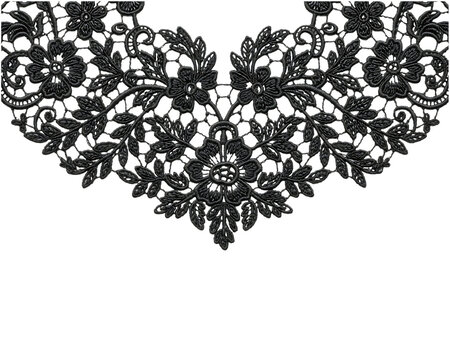 Elegant Black Lace Collar with Floral Embroidery