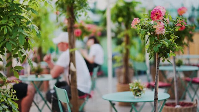 Charming outdoor garden cafe with blooming rose bushes and blurred people sitting at turquoise tables.
