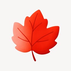 Fototapeta premium Vibrant red autumn leaf illustration.