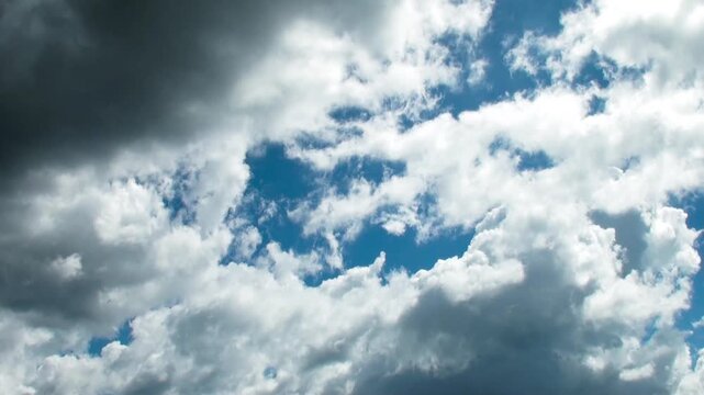 激しい上昇気流で急成長する夏の積乱雲