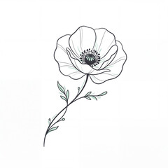 Obraz premium Delicate line drawing of a flower with stem and leaves