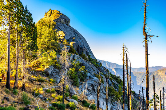 Golden morning sun illuminating massive Moro Rock granite dome in California